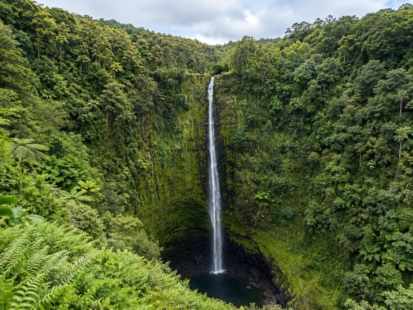 ʻAkaka Falls vs Rainbow Falls: Which Big Island Waterfall Should You Visit?