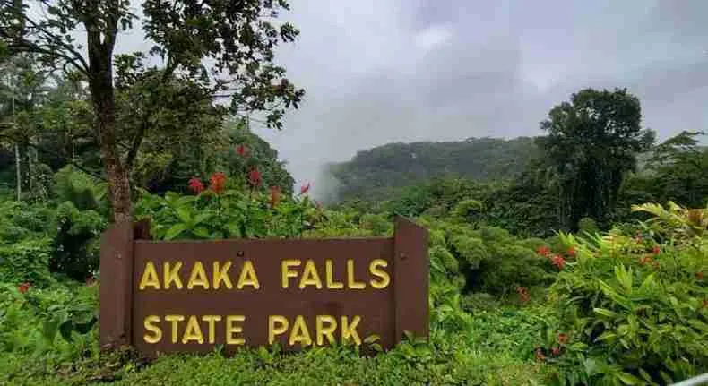 ʻAkaka Falls plunging 442 feet into the rainforest