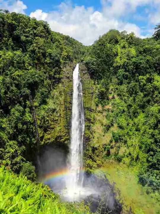 Rainforest path approaching ʻAkaka Falls