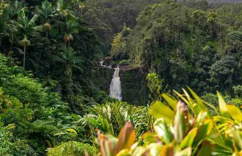 ʻAkaka Falls overlook
