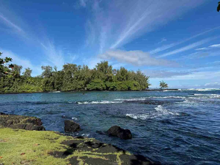 Tropical foliage at ʻAkaka Falls State Park
