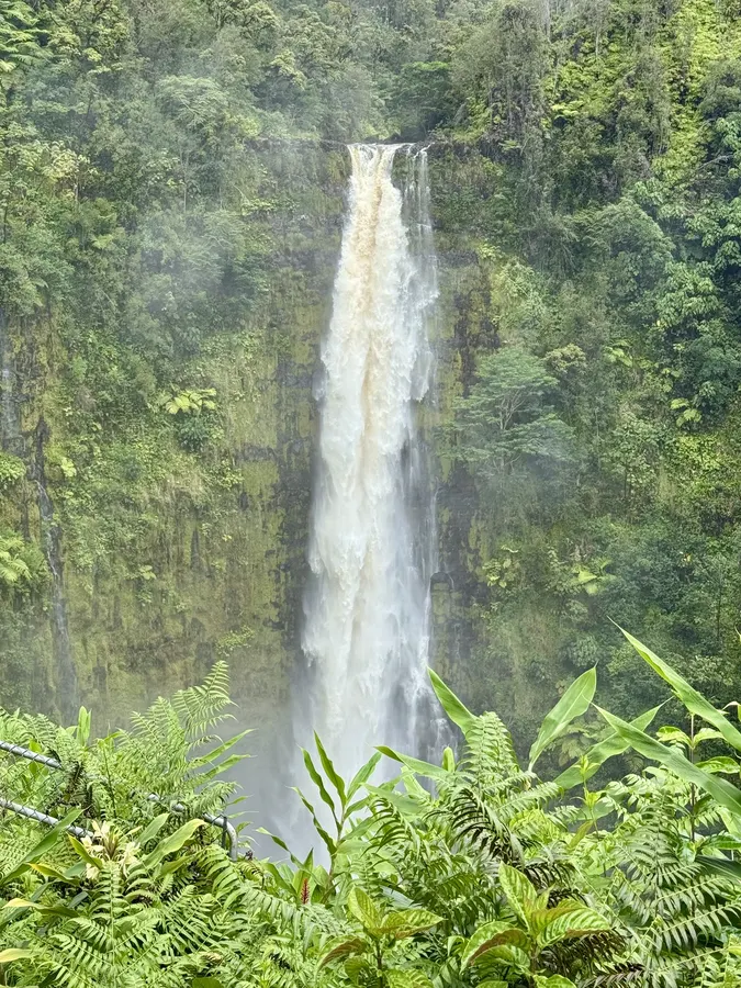 ʻAkaka Falls cascading through lush rainforest