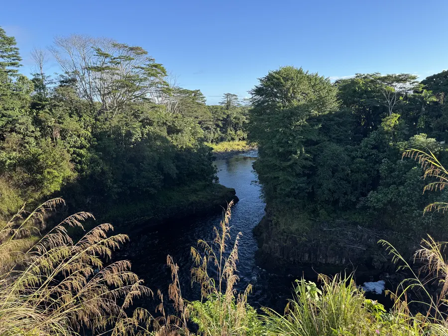A calm river winding through Big Island rainforest