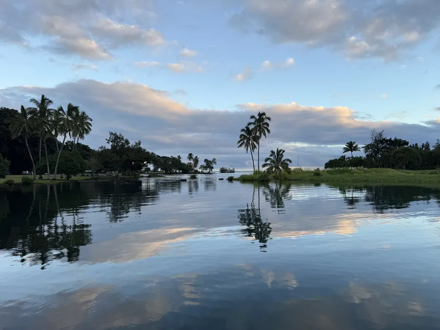 Palms and clouds mirrored in a calm Hilo garden pond