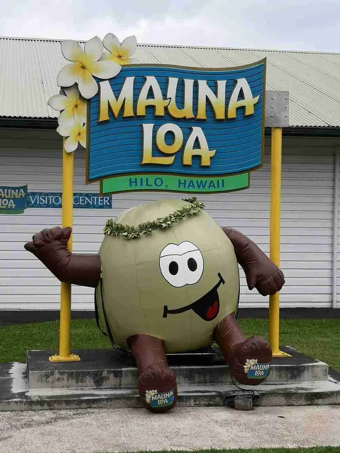 Mauna Loa Macadamia Nut Farm