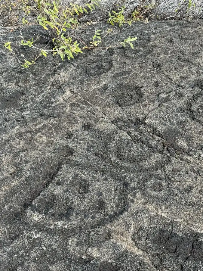 Ancient Hawaiian petroglyphs carved into pāhoehoe lava