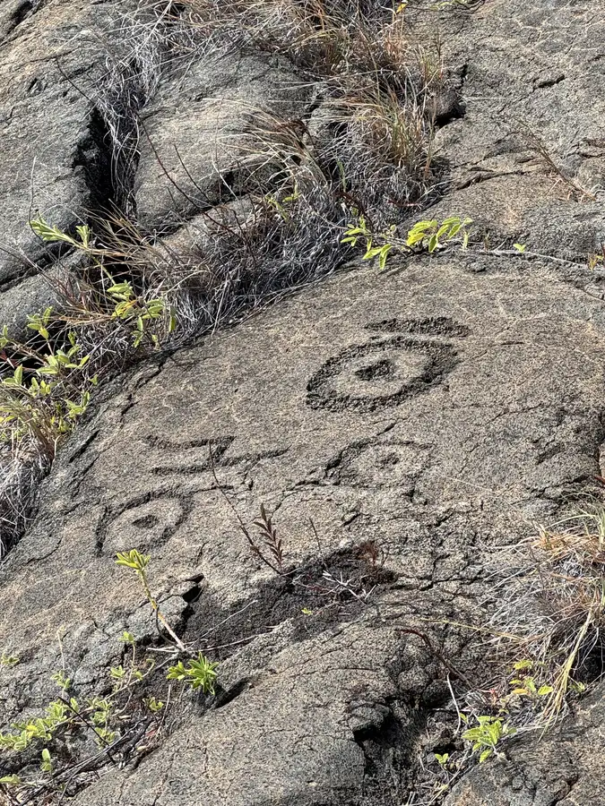 A field of circular petroglyph carvings in the lava rock