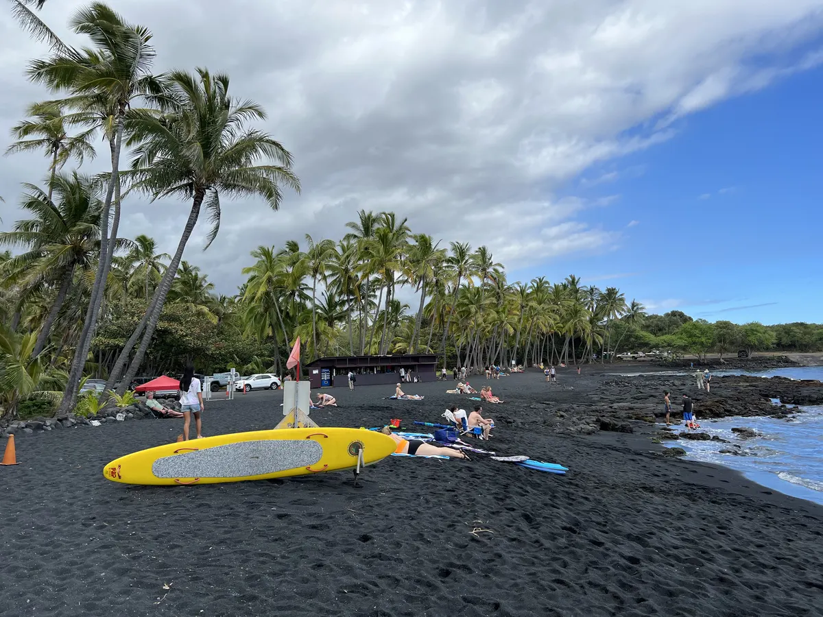 Punaluʻu Black Sand Beach palms and coast