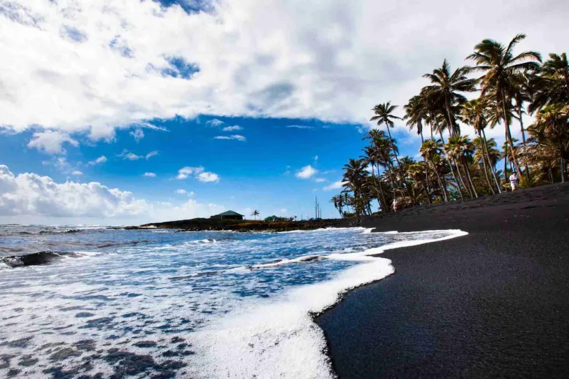 Punaluʻu Black Sand Beach shoreline near the palms