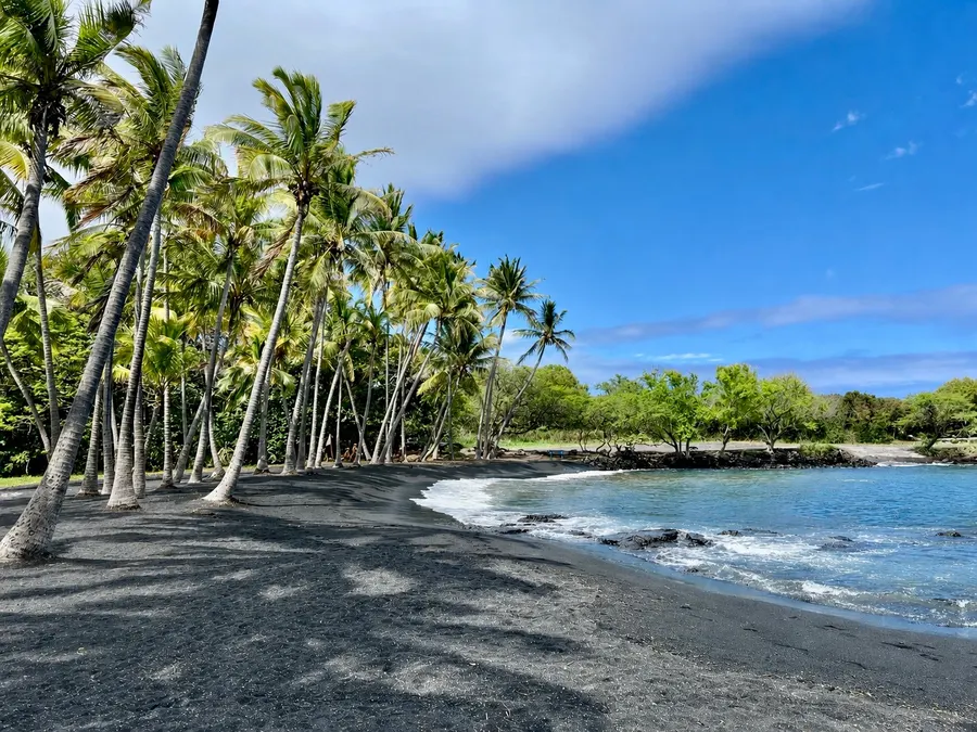 Palm-fringed cove at Punaluʻu Black Sand Beach