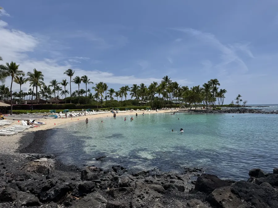 A turquoise tide-pool beach framed by lava rock and palms