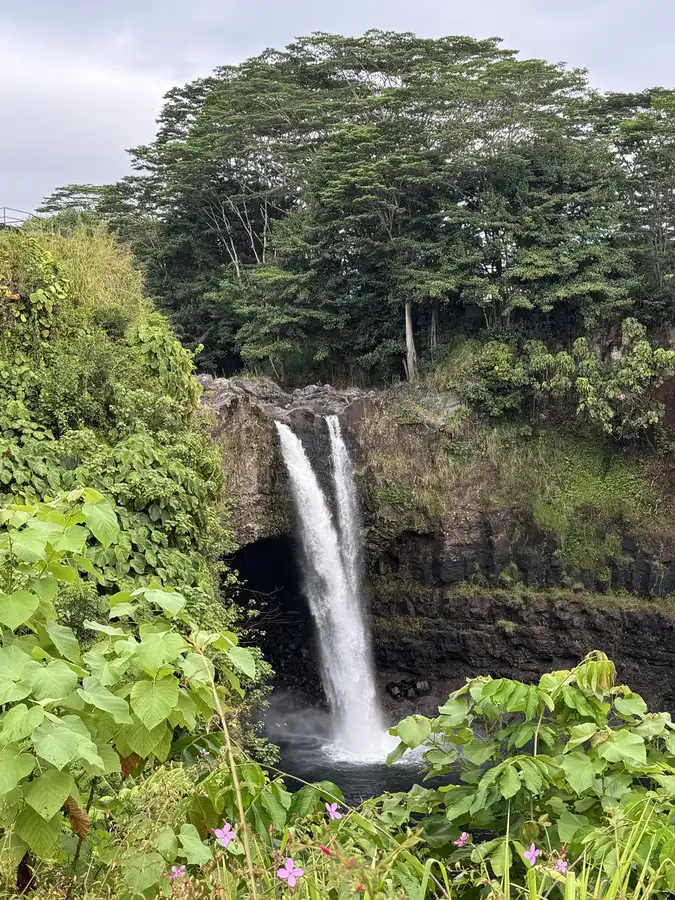A waterfall cascading through dense rainforest