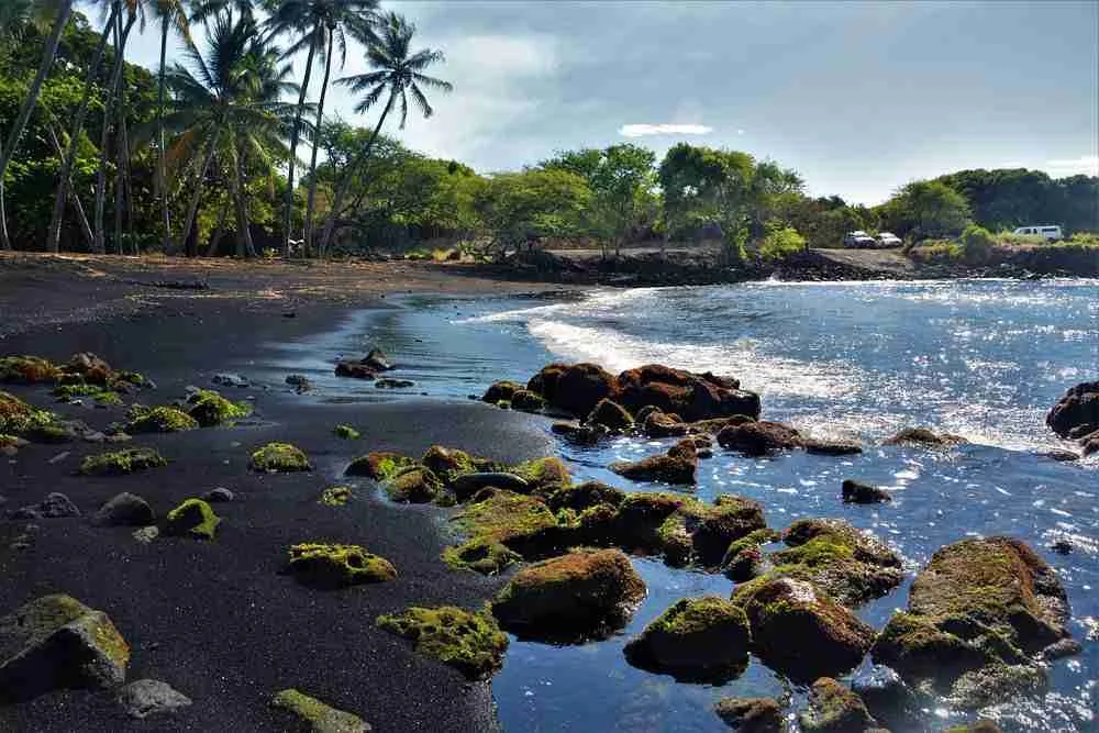 Punaluʻu Black Sand Beach: Sea Turtles, History & How to Visit